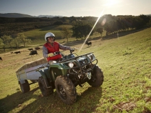 Фото Yamaha Grizzly 350 Grizzly 350 №6
