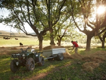Фото Yamaha Grizzly 350 Grizzly 350 №8